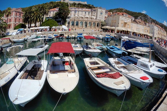 Croatia Island Hopping: Dalmatian Odyssey from Dubrovnik (8 days) - Day 3: choosing between Lokrum and the Elaphiti islands