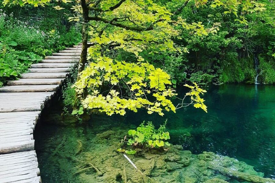 Croatia: Plitvice Lakes Private Tour with Hotel Pickup - The panoramic train and views over the Lower Lakes