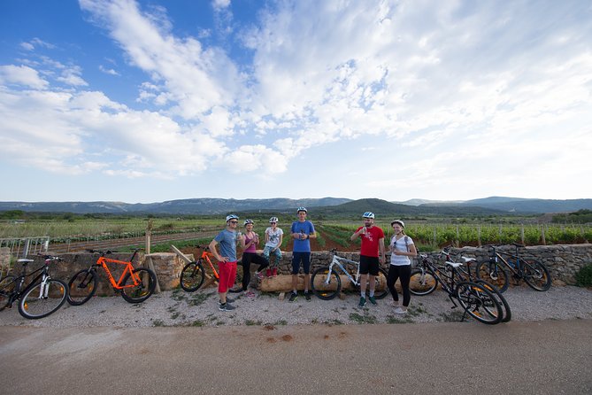 Cycle Hvar Tour - Why the wine cellar makes this bike tour different