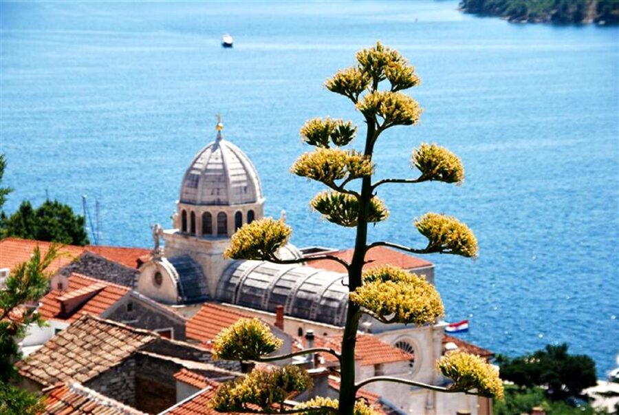 Dalmatian Delights: Food & Wine Tour from Split or Trogir - Who will get the most from this tour?