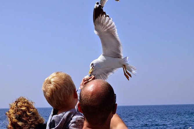 Day Cruise in the Elafiti Islands from Dubrovnik - What the $78.44 price really covers