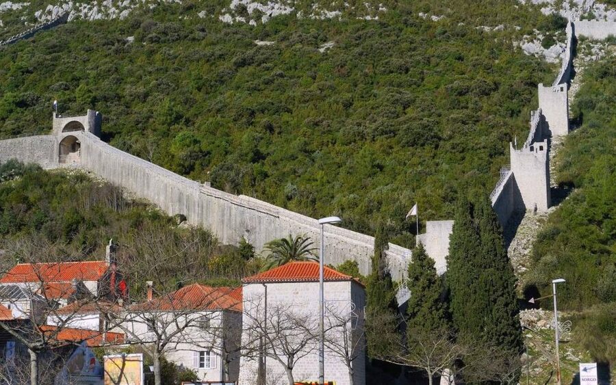 Day Tour from Dubrovnik - Korčula and Pelješac Wine Tasting - Three hours in Korčula Old Town