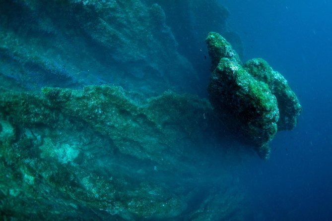 Diving day tour with 2 dives - A 60 to 90 minute surface break