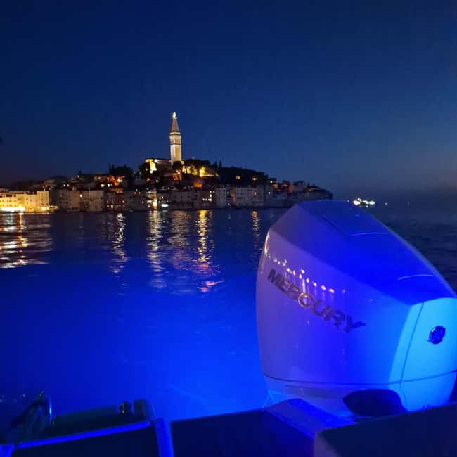 Dolphin private sunset tour Rovinj - Who will enjoy this most