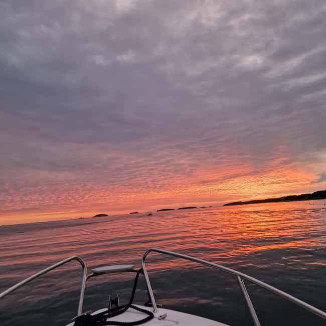 Dolphin private sunset tour Rovinj - Practical details that affect the evening