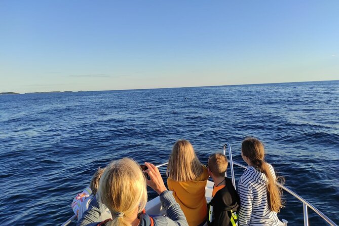 Dolphin Sunset Adventure with Speedboat - Why the sunset adds real value