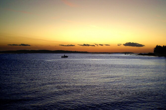DOLPHIN WATCHING | Pula Boat - The difficult question of dolphin ethics