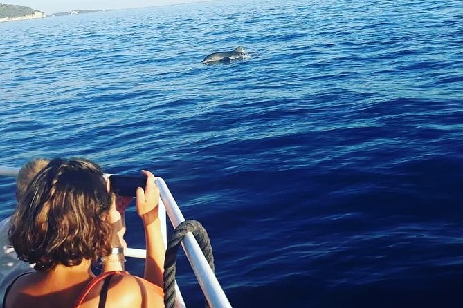 Dolphin Watching & Sunset Boat Tour With Dinner and Drinks - Mali Brijun and Fort Brioni Minor