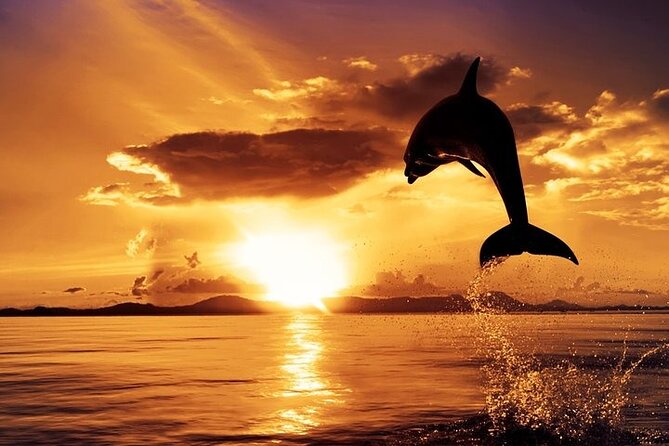 Dolphin Watching & Sunset Boat Tour With Dinner and Drinks - Peneda Lighthouse and Tito’s Vanga residence