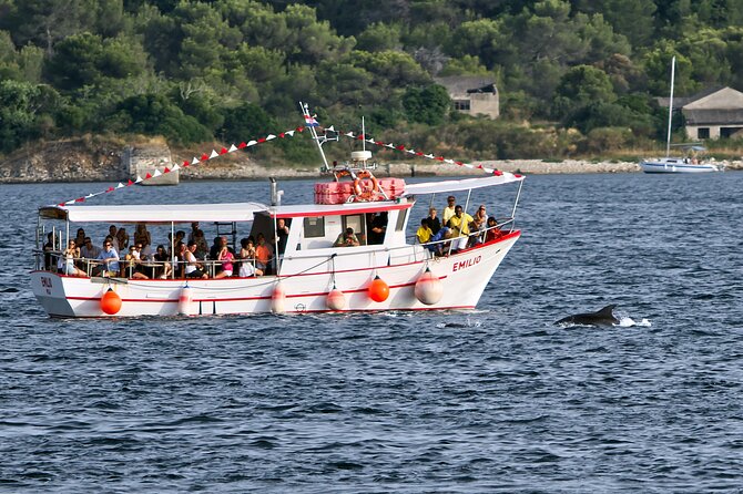 Dolphin Watching Sunset Boat Trip in Pula with Dinner - Setting out from Pula toward Brijuni National Park