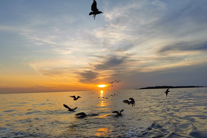 Dolphin Watching Sunset Boat Trip in Pula with Dinner - Dinner, drinks, and the relaxed middle of the cruise