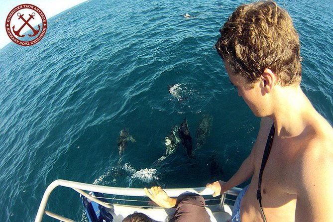 Dolphins Watching in the National Park Brijuni from Pula - Key points to know before you go