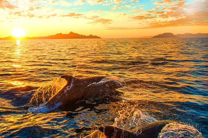Dolphins Watching in the National Park Brijuni from Pula - Leaving Riva 14 and finding your place on board