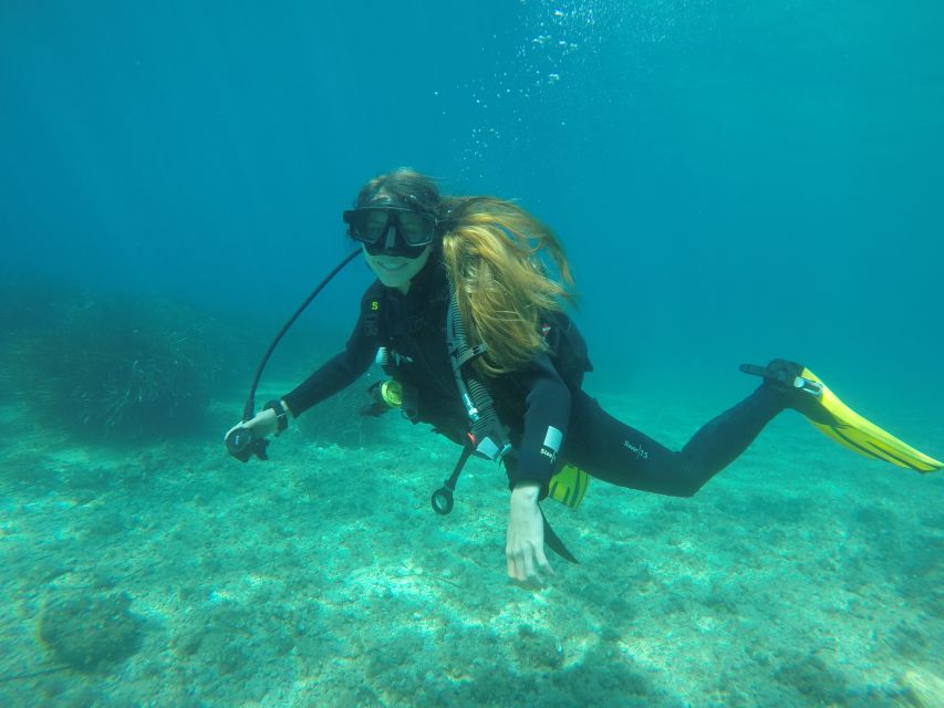 Dubrovnik: 1-Day Discover Scuba Diving Course - What you may see beneath the Adriatic