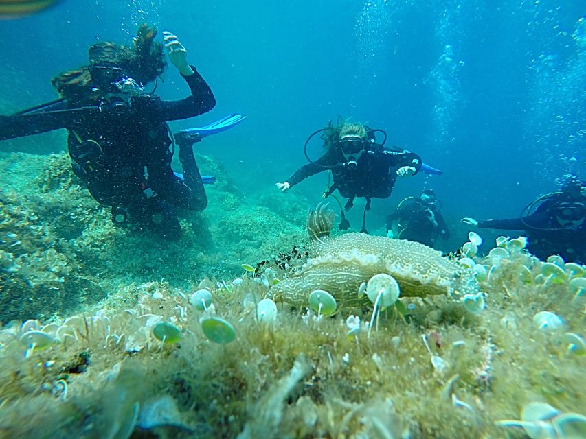 Dubrovnik: 1-Day Discover Scuba Diving Course - Getting comfortable before the first underwater session