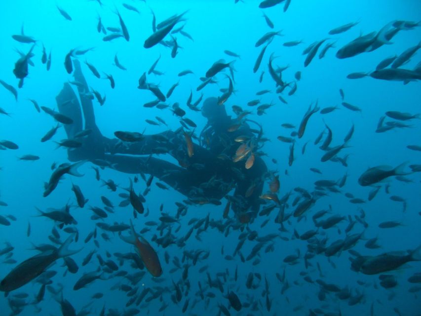 Dubrovnik: 1-Day Diving Package - Two sessions, not a rushed introduction
