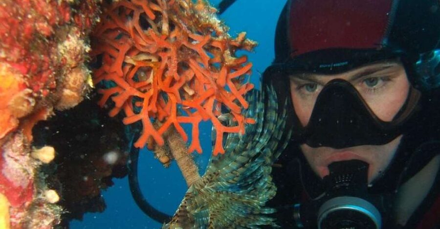 Dubrovnik: 1-Day Diving Package - The shore sites around Dubrovnik