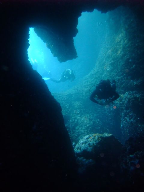 Dubrovnik: 1-Day Diving Package - Equipment, comfort, and the practical weak spot