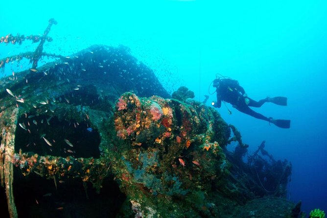 Dubrovnik 1 Dive for Certified Divers - Why this Dubrovnik scuba outing is worth considering