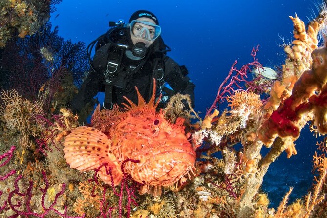 Dubrovnik 1 Dive for Certified Divers - What the $96.33 price includes