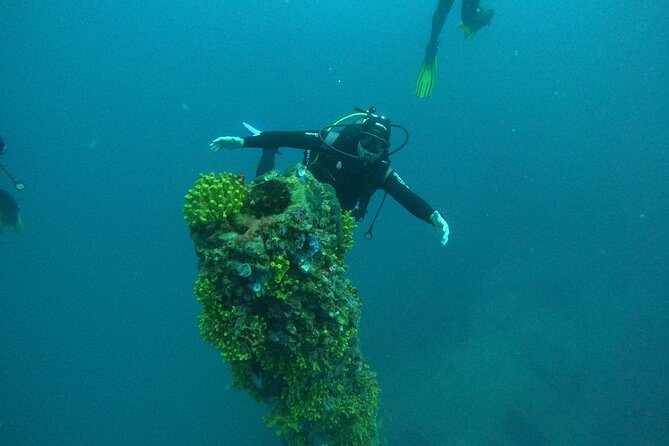 Dubrovnik 1 Dive for Certified Divers - Who should book this experience