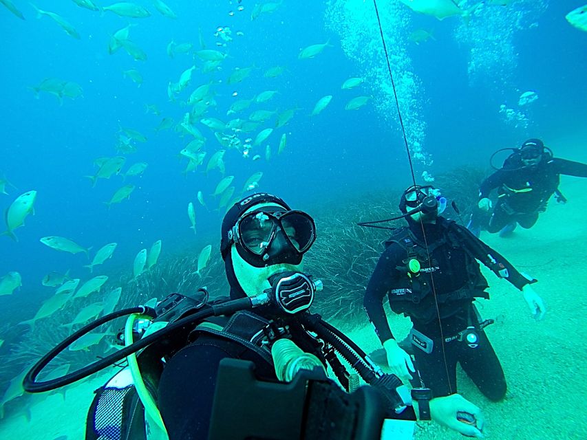 Dubrovnik 2-Hour Uncertified Divers Introductory Dive - Who will enjoy this most?
