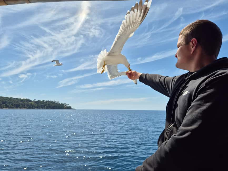 Dubrovnik: 3 Island Boat Tour with Lunch and Guide - Why This Boat Day Works So Well From Dubrovnik