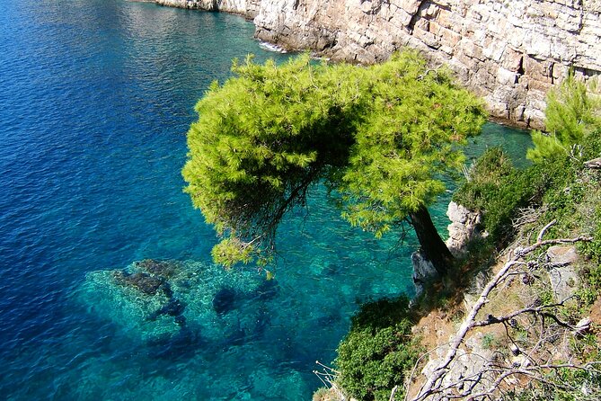 Dubrovnik: 3 Islands Boat Tour with Lunch & drinks(FR, ES, EN) - Who will enjoy this trip most?