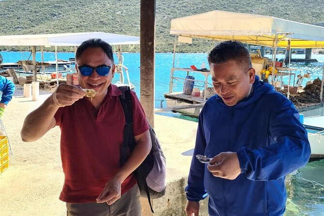 Dubrovnik Airport to Split Private transfer 1-8 pax (Door to Door any location) - Who should book this Dubrovnik to Split ride