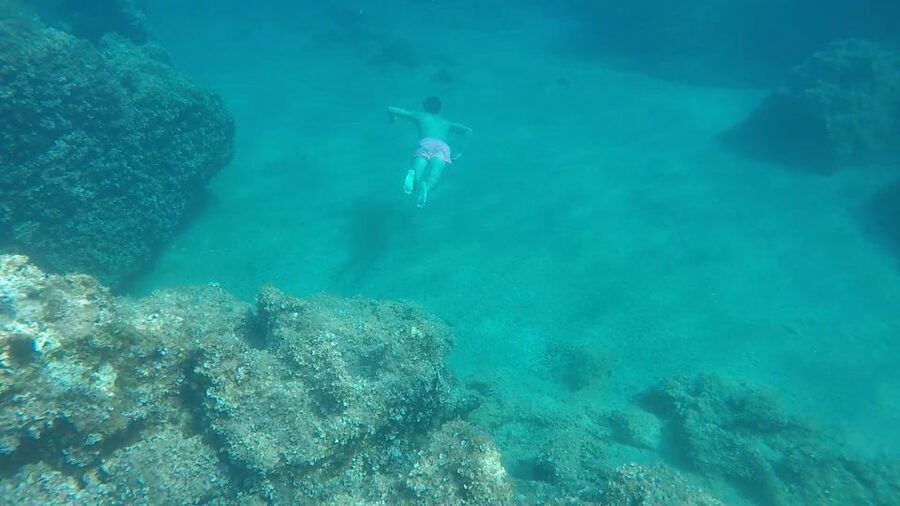 Dubrovnik: All-inclusive Islands and Caves Private Boat Tour - Who should book this boat day?