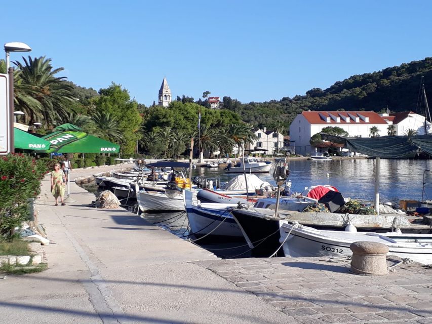 Dubrovnik: All-inclusive Islands and Caves Private Boat Tour - Four, six, or eight hours?
