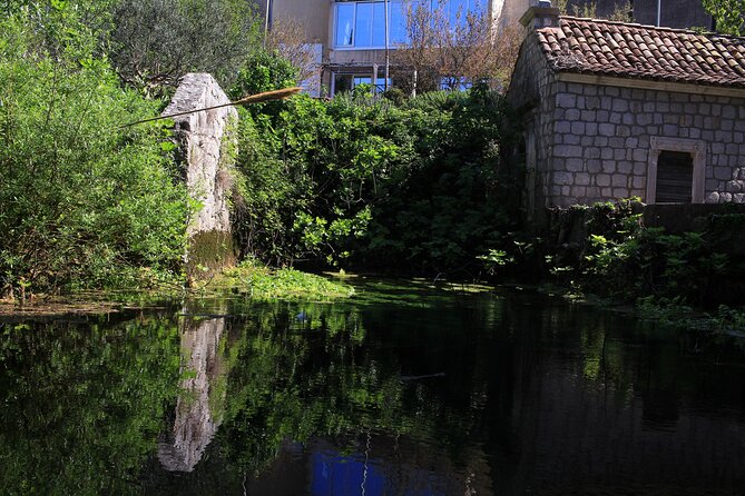 Dubrovnik: Best views Sightseeing Tour - Is $48.39 a fair price?