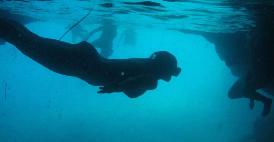 Dubrovnik: Blue Cave & Sunj Beach Boat Tour with Drinks - At a glance