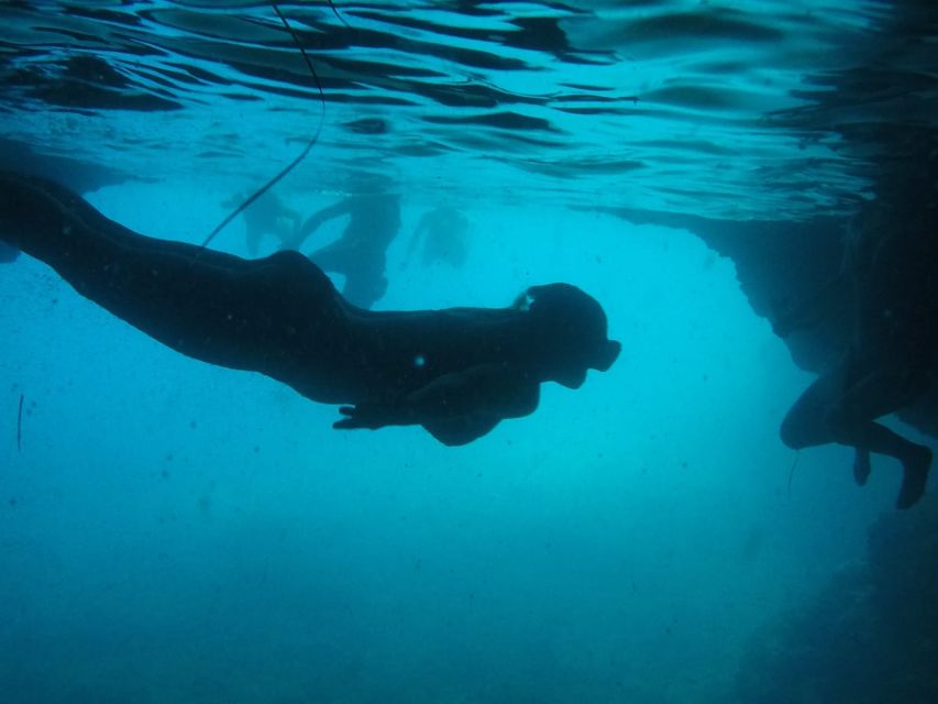 Dubrovnik: Blue Cave & Sunj Beach Boat Tour with Drinks - Kolocep’s Blue Cave