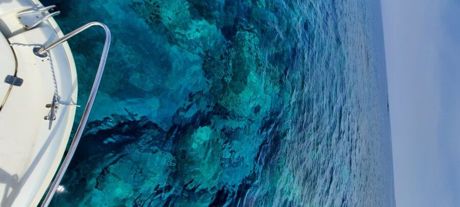 Dubrovnik: Blue Cave Tour by Speedboat - Key points to know before you go