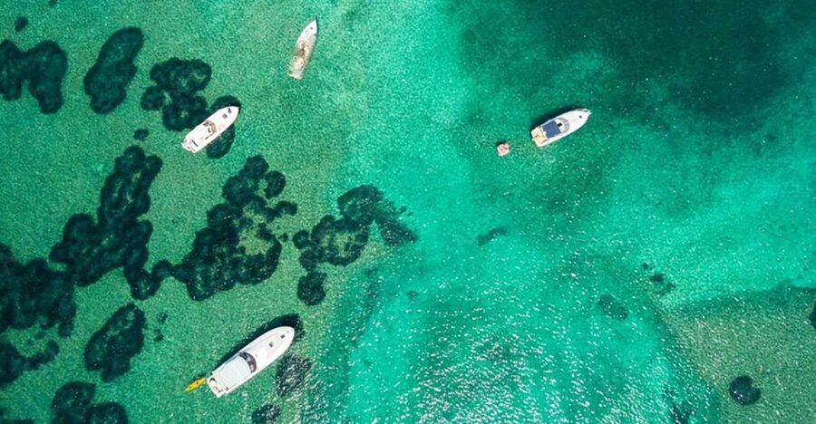 Dubrovnik: Blue & Green Caves Private Boat Tour with Drinks - A Speedboat Trip Built Around Swimming