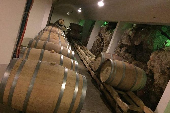 Dubrovnik Bosnia-Herzegovina Half-Day Wine Tour with Tastings - Crossing the mountains from Dubrovnik to Trebinje