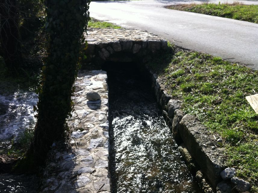 Dubrovnik: Cavtat and Konavle Half-Day Private Tour - The safety issue you should not ignore