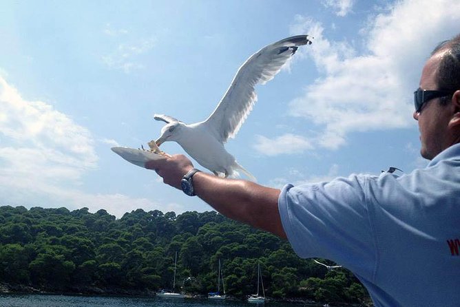 Dubrovnik Elafiti Islands Cruise with Lunch, Drinks and Pickup - Lunch cooked on board, with drinks included