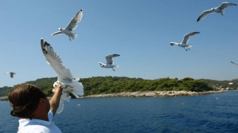 Dubrovnik: Elaphiti Islands Boat Cruise with Lunch & Drinks - Meeting point, timing, and small practical tips
