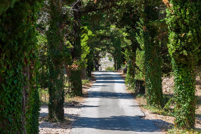 Dubrovnik Game of Thrones Driving Tour - What the guide adds beyond filming facts