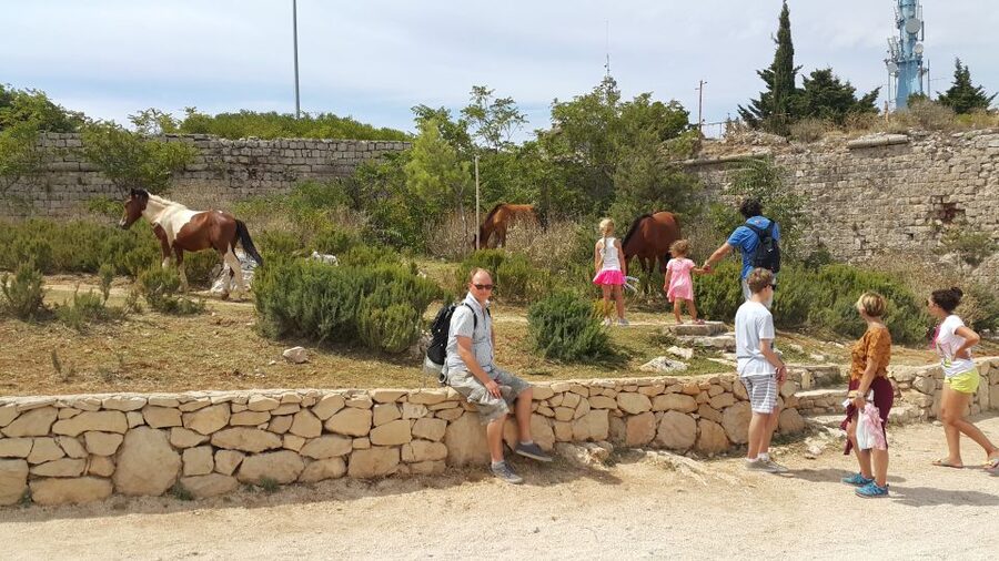 Dubrovnik: Game of Thrones Locations Driving Tour - Trsteno Arboretum and the royal gardens