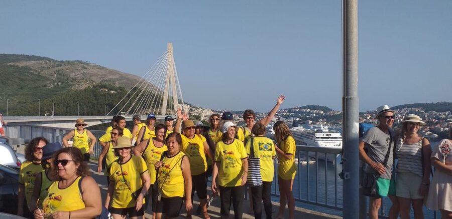 Dubrovnik: Guided Sightseeing Tour by Minivan - Who should book this Dubrovnik tour?