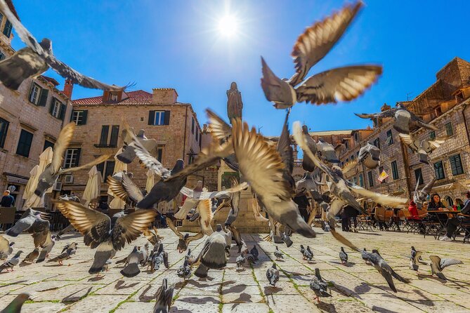 Dubrovnik Guided Tour & Free Time From Makarska Riviera - The 8:00 am pickup and the road south