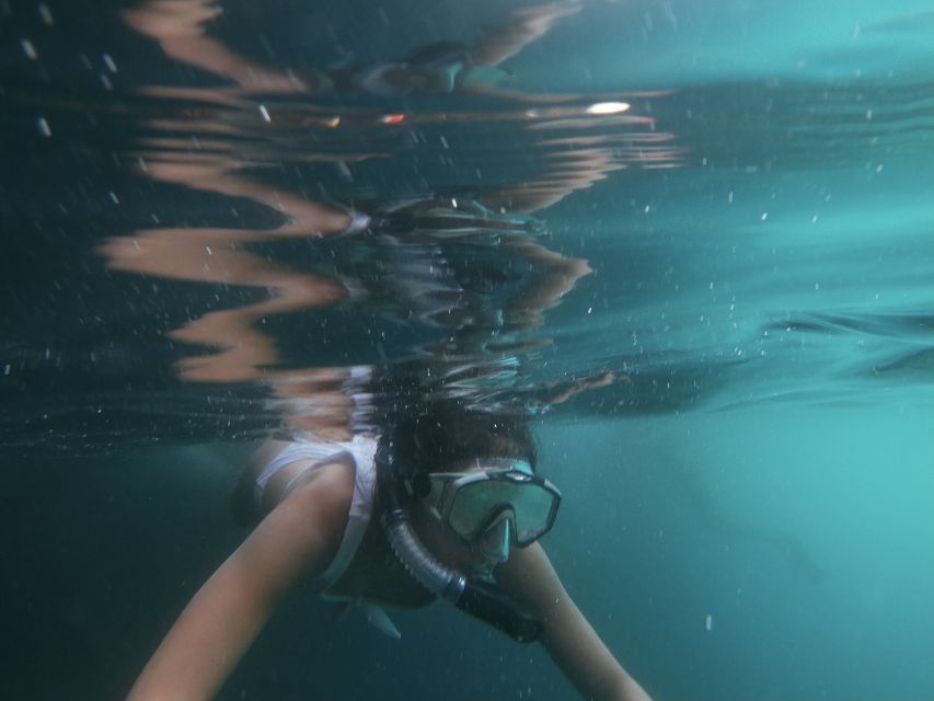 Dubrovnik: Half-Day Private Boat Trip to Elafiti Islands - Who Should Book This Elafiti Islands Trip
