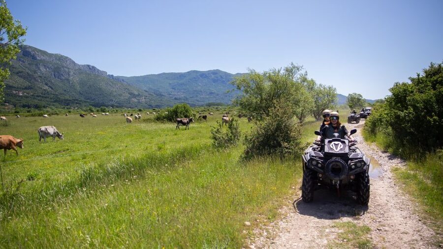 Dubrovnik: Kojan Koral ATV Quad Safari with transport - The first 75 minutes: fields, wetlands, and the Ljuta River