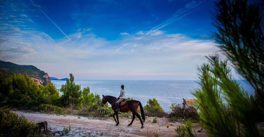 Dubrovnik Kojan Koral: Horseback Riding - Key points to know before you book