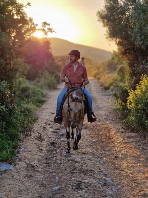 Dubrovnik Kojan Koral: Horseback Riding - Why this ride is different from a standard Dubrovnik tour