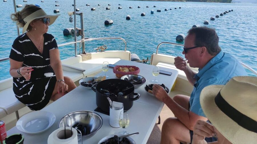 Dubrovnik: Oyster, Mussles, and Wine Tasting Tour in Ston - Key points to know before booking