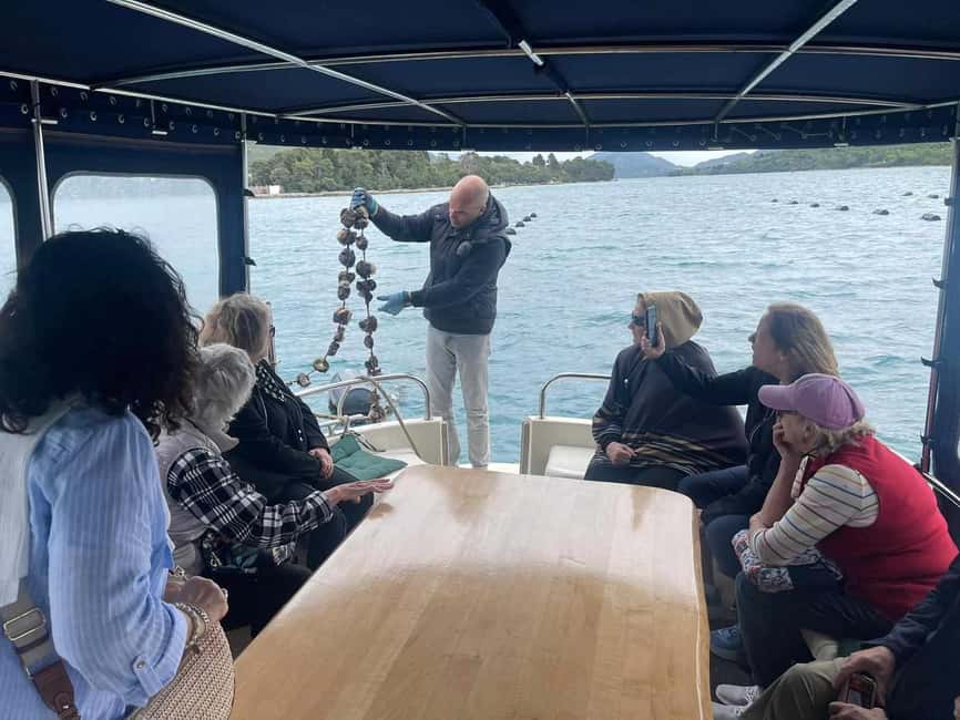 Dubrovnik: Oyster, Mussles, and Wine Tasting Tour in Ston - Group size, hosting, and the guide question